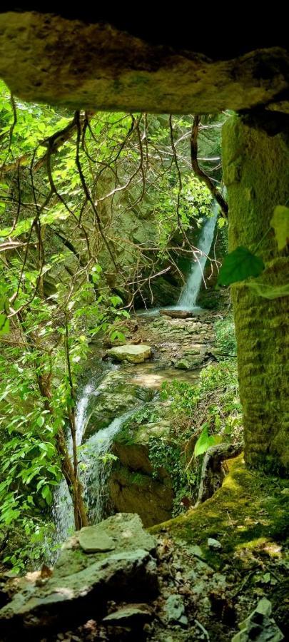 Ca' Del Tartufaio Villa Castelmauro Bagian luar foto