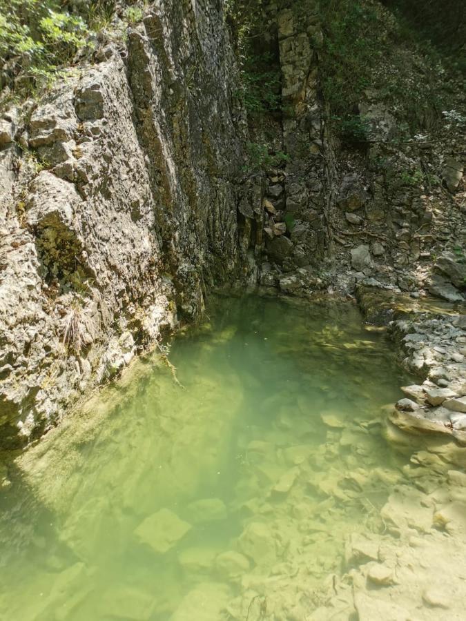 Ca' Del Tartufaio Villa Castelmauro Bagian luar foto