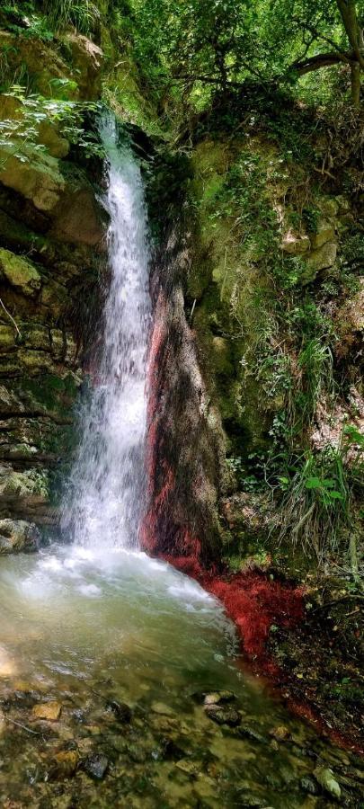 Ca' Del Tartufaio Villa Castelmauro Bagian luar foto