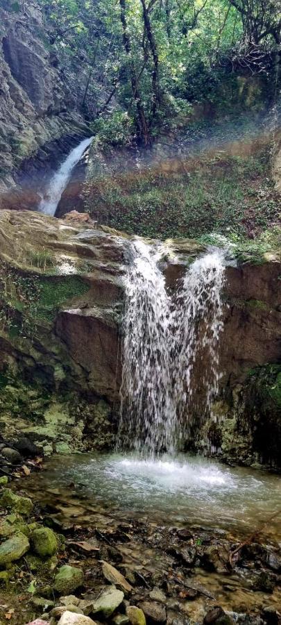 Ca' Del Tartufaio Villa Castelmauro Bagian luar foto