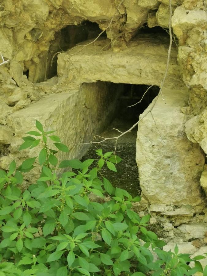Ca' Del Tartufaio Villa Castelmauro Bagian luar foto